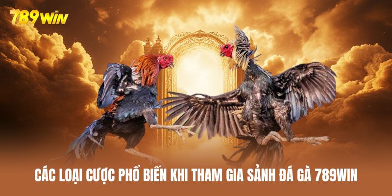Người chơi có thể chọn 4 loại cược đá gà khác nhau