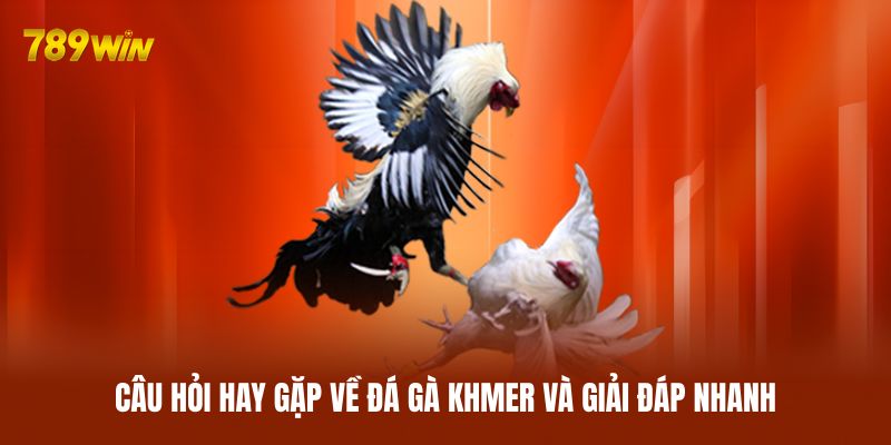 Câu hỏi hay gặp về đá gà Khmer và giải đáp nhanh Câu hỏi hay gặp về đá gà Khmer và giải đáp nhanh