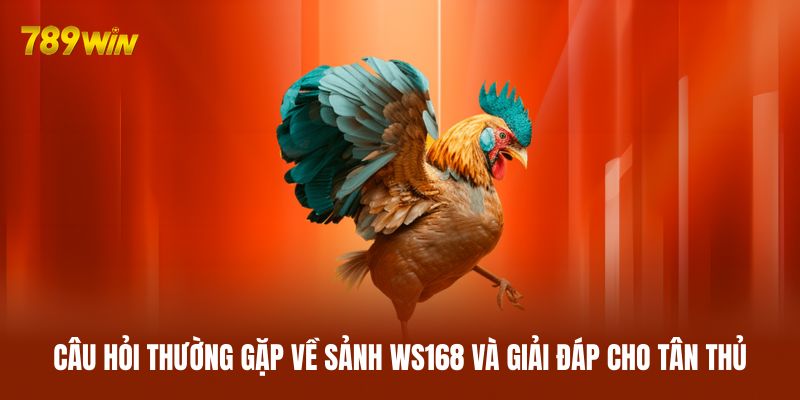 Câu hỏi thường gặp về sảnh WS168 và giải đáp cho tân thủ Câu hỏi thường gặp về sảnh WS168 và giải đáp cho tân thủ