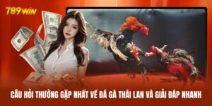Đá Gà Thái Lan - Loạt Trận Tử Chiến Không Thể Chớp Mắt