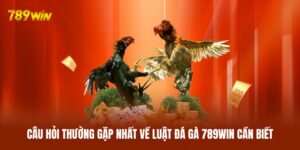 Luật Đá Gà 789WIN - Sự Thật Ít Người Chú Ý Trước Trận Đấu