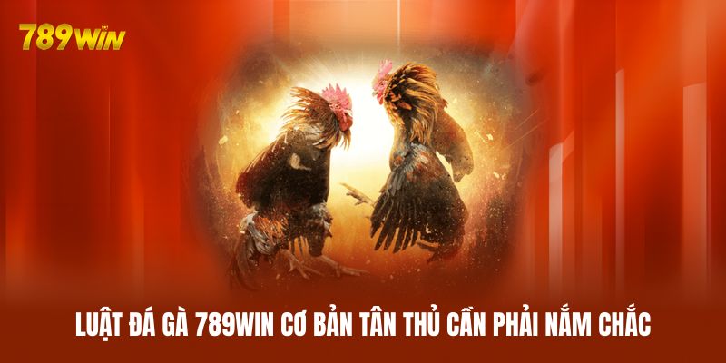 Luật đá gà 789WIN cơ bản tân thủ cần phải nắm chắc