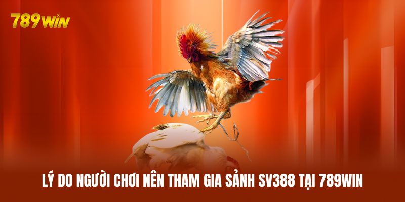 Lý do người chơi nên tham gia sảnh SV388 tại 789WIN Lý do người chơi nên tham gia sảnh SV388 tại 789WIN