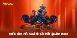 Những hình thức đá gà nổi bật nhất tại sảnh WS168