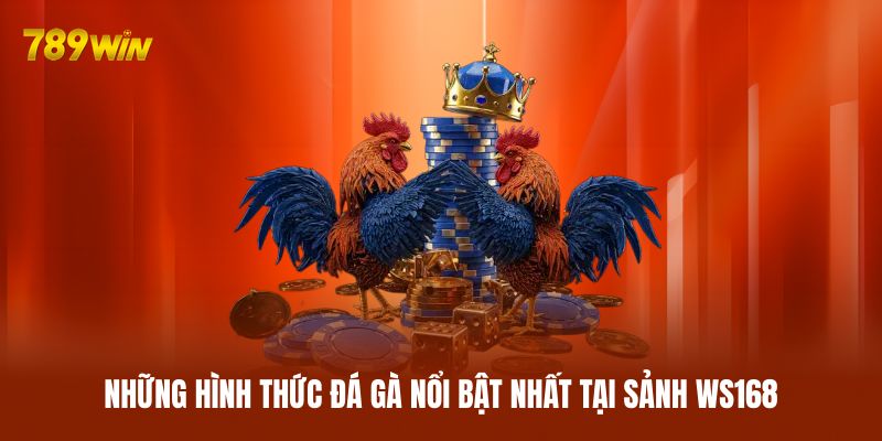 Những hình thức đá gà nổi bật nhất tại sảnh WS168 Những hình thức đá gà nổi bật nhất tại sảnh WS168