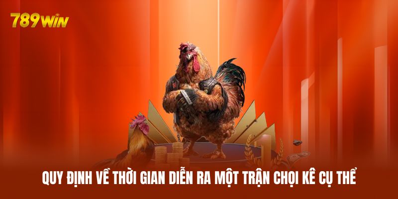 Quy định về thời gian diễn ra một trận chọi kê cụ thể