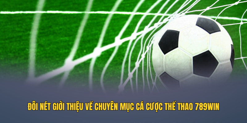 Đôi nét giới thiệu về chuyên mục cá cược thể thao 789WIN