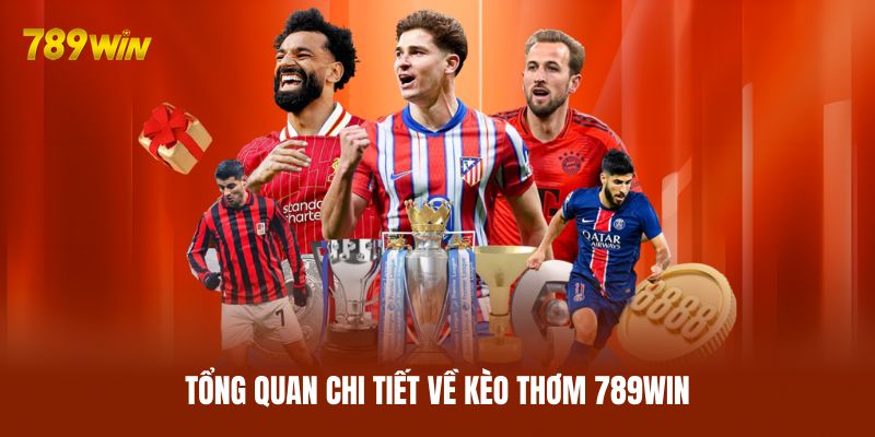 Tổng quan chi tiết về kèo thơm 789WIN