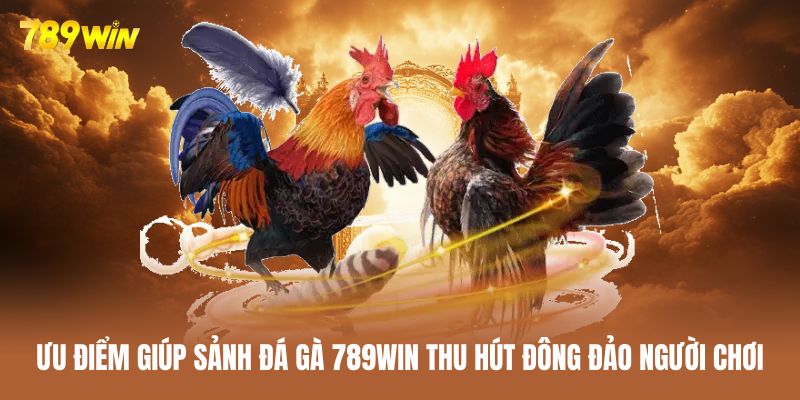 Lý do chuyên mục đá gà 789WIN có danh tiếng tốt